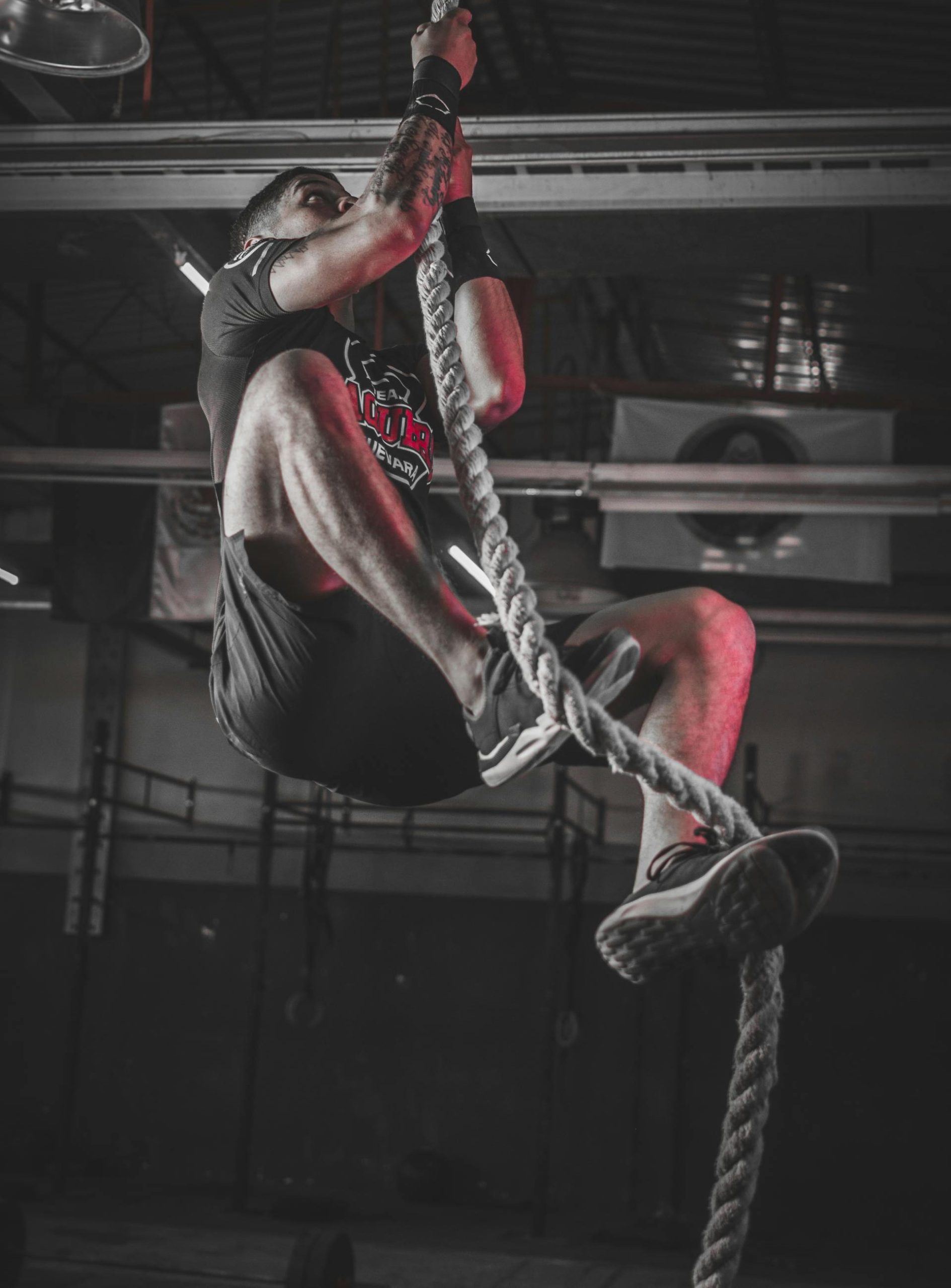 pexels leonardho 2468339